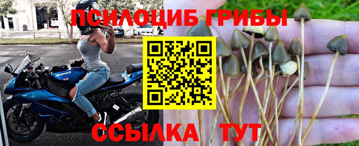 Псилоцибиновые грибы ЛСД Пятигорск